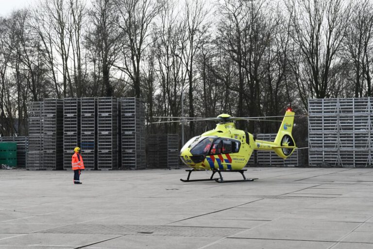 WhatsApp Image 2026-02-19 at 2.13.12 PM (2)